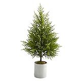 Nearly Natural 49in. Norfolk Island Pine â€œNatural Lookâ€ Artificial Tree, Green | Amazon (US)