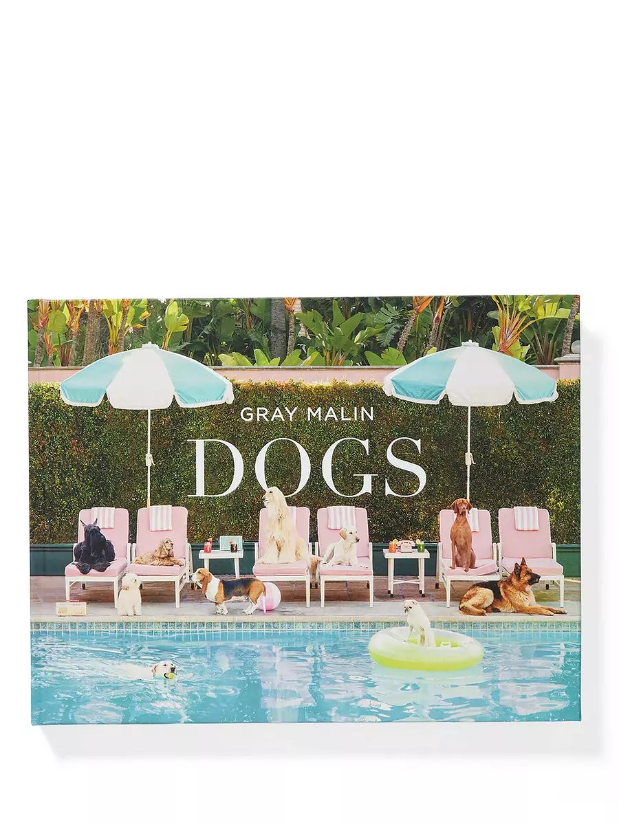 "Dogs" by Gray Malin | Serena and Lily