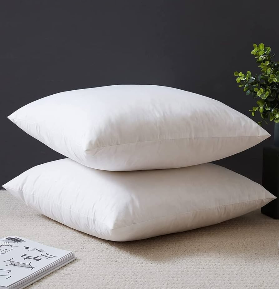 YSTHER Down Feather Throw Pillow Inserts 20x20 Set of 2 Square Form Sham Stuffer Premium Hypoalle... | Amazon (US)