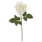 Nearly Natural 20in. Rose Artificial (Set of 6) Silk Flowers, White | Amazon (US)