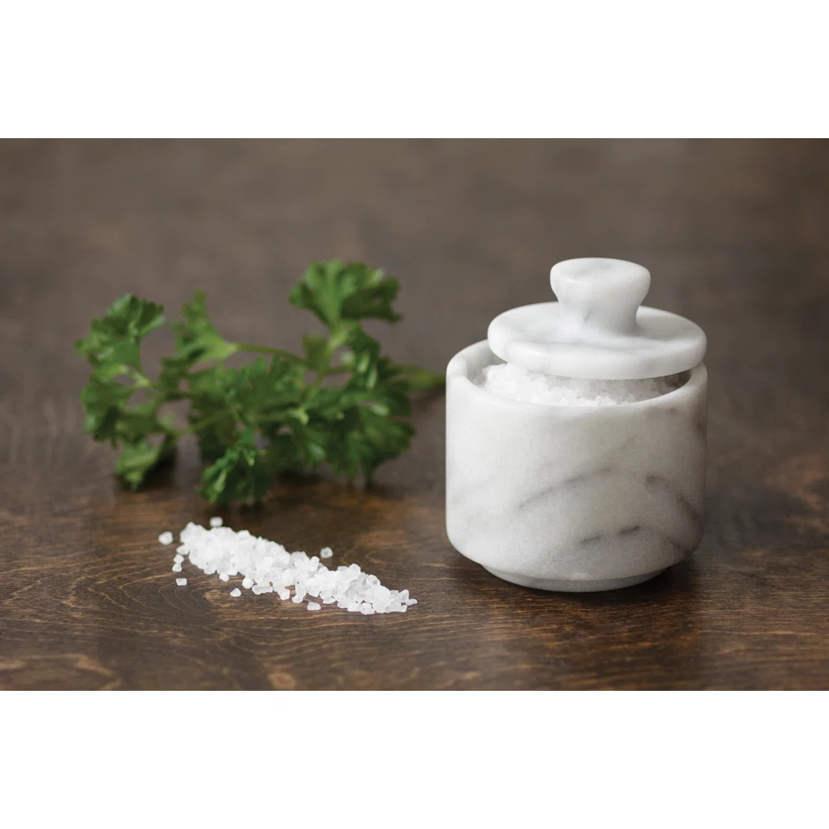 Fox Run Brands Marble Salt Cellar, White | Wayfair North America