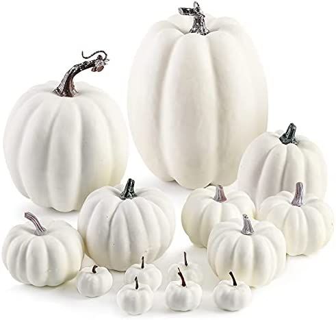 DomeStar Artificial Pumpkins, 14PCS White Fake Pumpkins Assorted Pumpkins Faux Pumpkins Farmhouse... | Amazon (US)