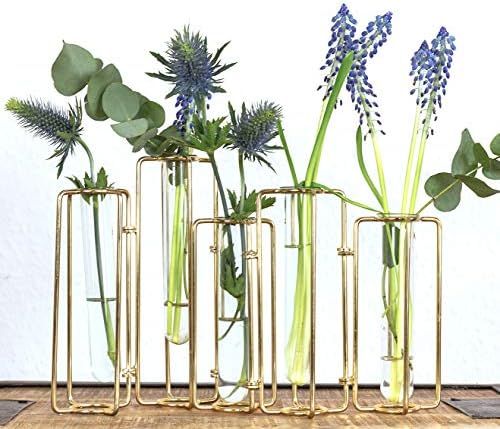 Hinged Bud Vase Set 5, Clear Glass Cylinder Vases for Centerpieces, Round Single Flower Decor, Gold  | Amazon (US)