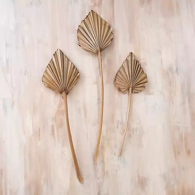 New!Dried Palm Leaf Stems, Set of 3 | Kirkland's Home