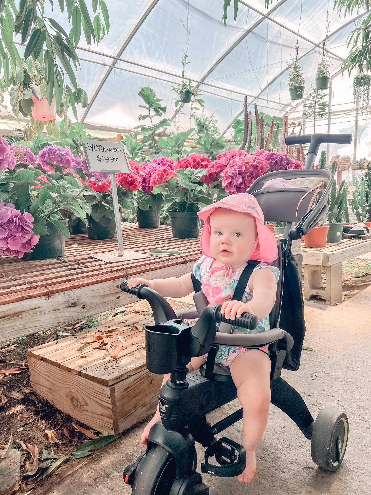 We took a trip to our local plant nursery and Dottie loved strolling and looking at all of the cool flowers and plants! So many people commented on how cool her trike was because it was small enough to fit through all of the narrow isles. I was so thankful I brought it instead of her stroller. I’ve linked her Doona Trike as well as a few similar Lilly Pulitzer outfits and her sun hat that we literally have in every color. 

#LTKfamily #LTKkids #LTKbaby
