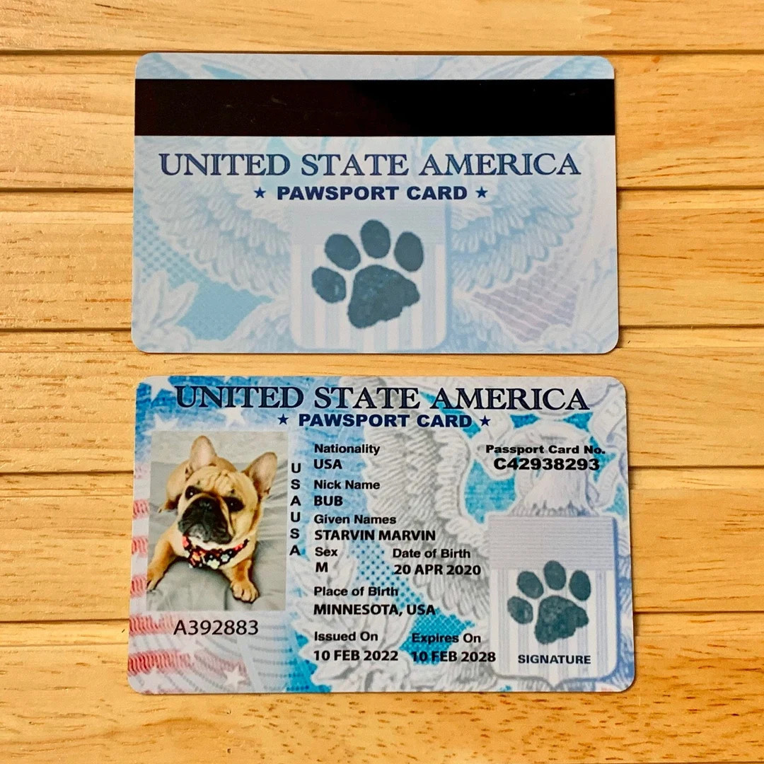 Pawsport Card for Your Pet - Novelty Card for Pet Lovers - Pet Passport - Professional Design - E... | Etsy (US)