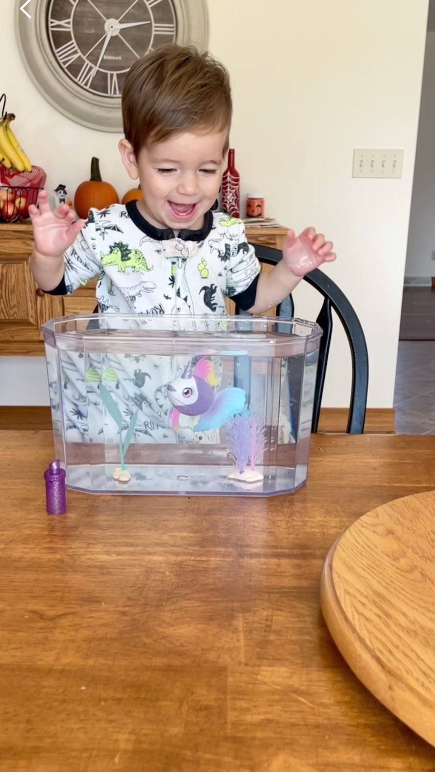 Both of kids love this swimming fish toy that mimics a real fish! You can feed it and take it in and out of the tank for tons of water time fun!

#LTKGiftGuide #LTKkids #LTKHoliday