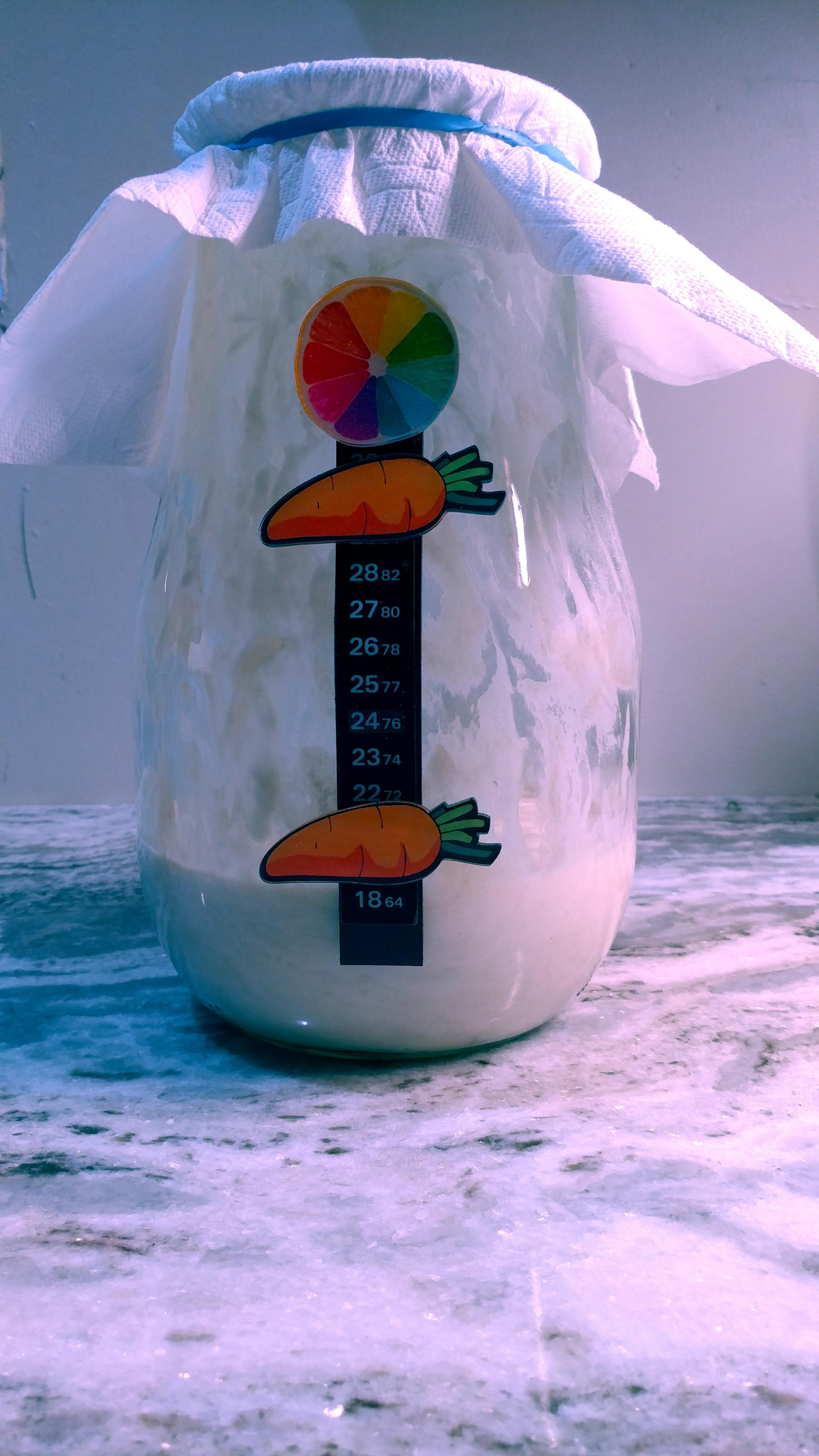 Tulip 2.5 Liter - Sour Dough Starter Jars - Large Glass Jars for Sourdough - Starter Jar with Gla... | Amazon (US)