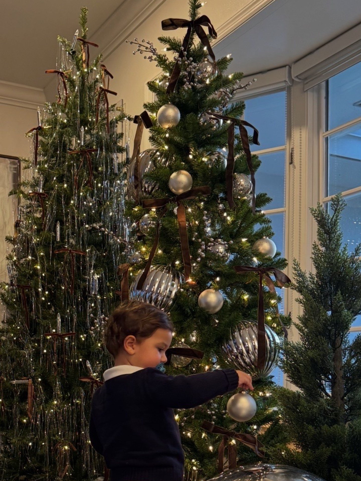 All the little details that made this year’s second tree feel so luxe…
brown velvet bows, oversized fluted silver ornaments, bright silver classics, and those silver berry stems that add the perfect texture + dimension.
It’s the most refined this tree has ever looked. 🤍✨

#LTKHoliday #LTKHome #LTKSeasonal