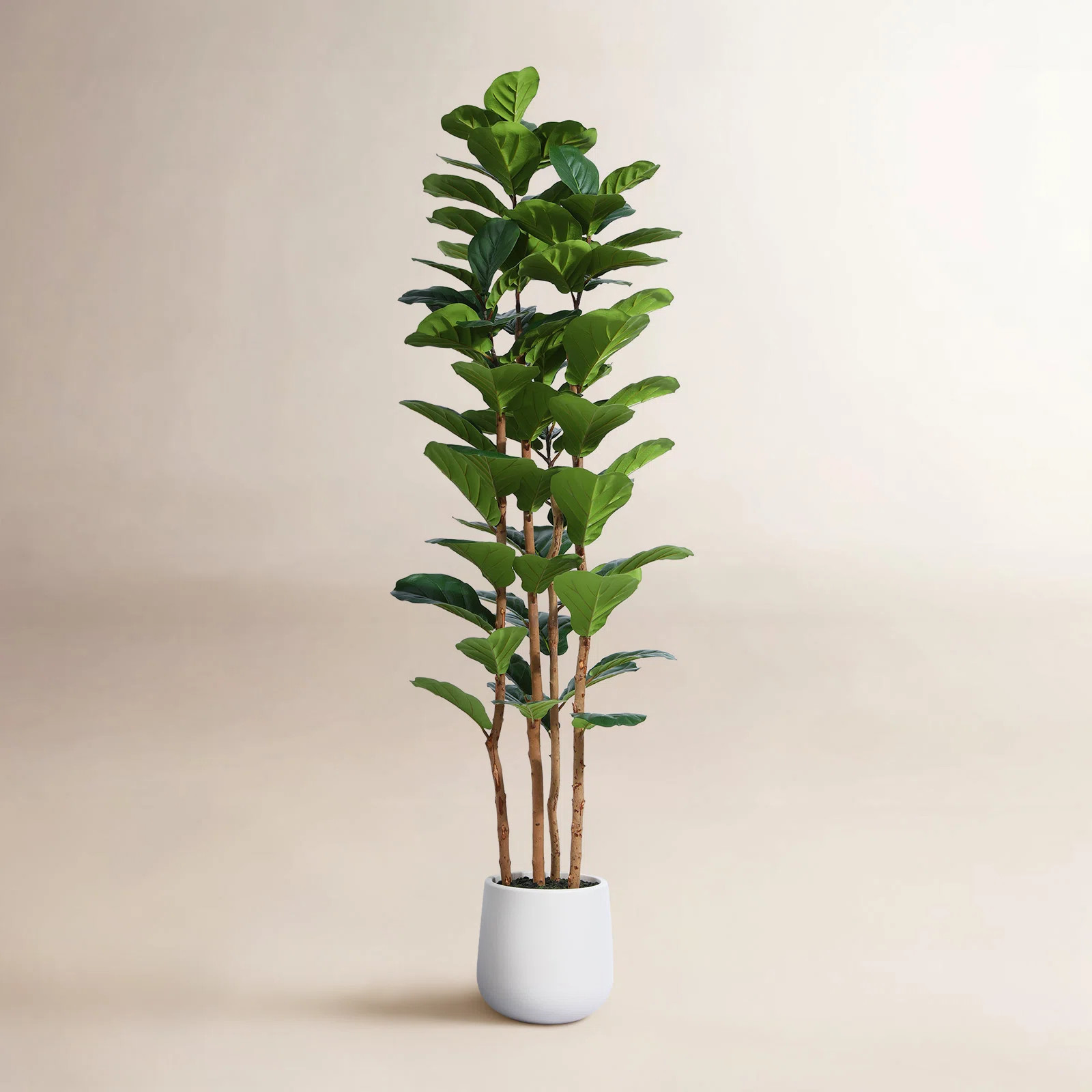 Adarna 84" Tree in Pot | AllModern