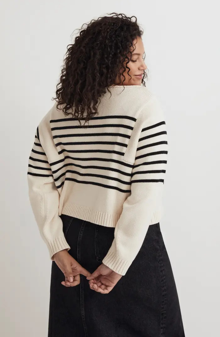 Stripe Roll Neck Pullover Sweater | Nordstrom