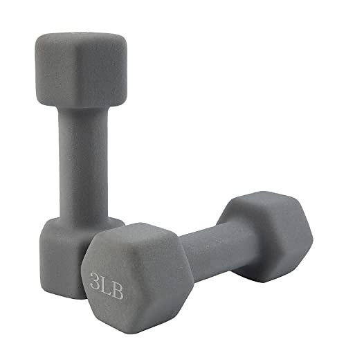 Saorzon Dumbbells Set of 2 Exercise Fitness Dumbbell for Home Gym Free Weights Hand Hex Dumb Bells Gray 3LB | Amazon (US)
