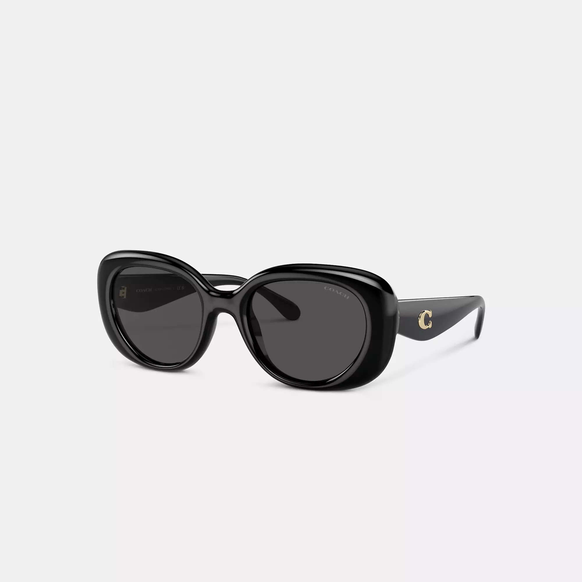 C Hardware Round Sunglasses | Coach (US)