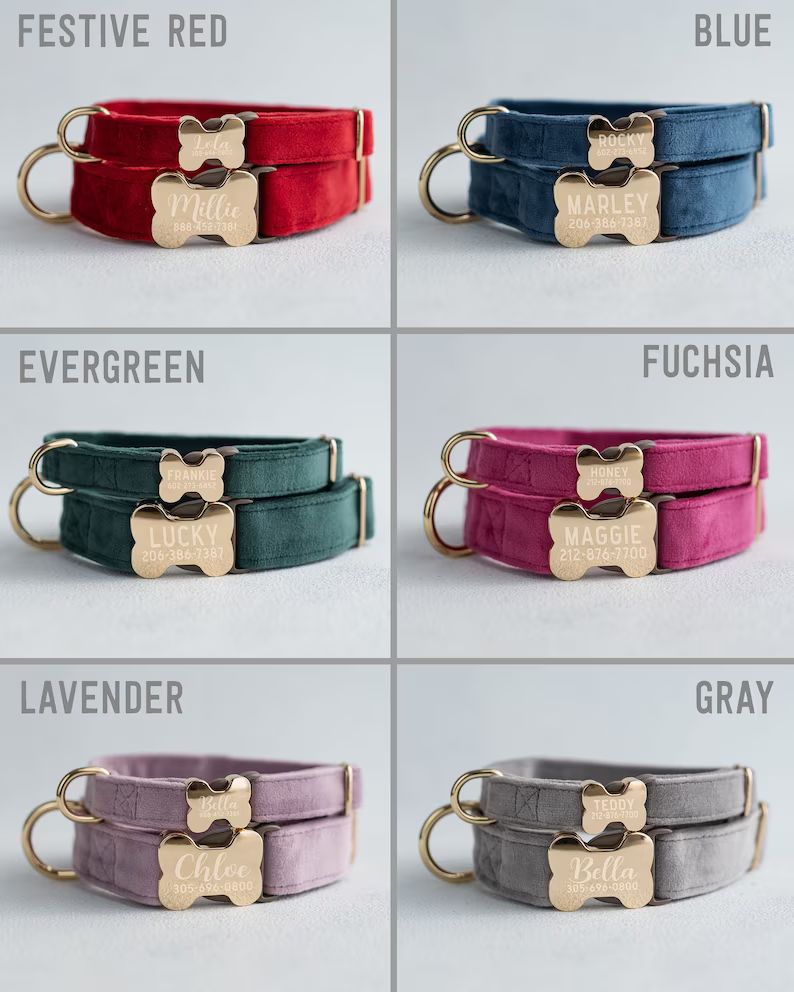 Velvet Dog Collar Personalized, Dog Collar Personalized, Dog Collar Girl, Dog Collar Engraved, Ve... | Etsy (US)