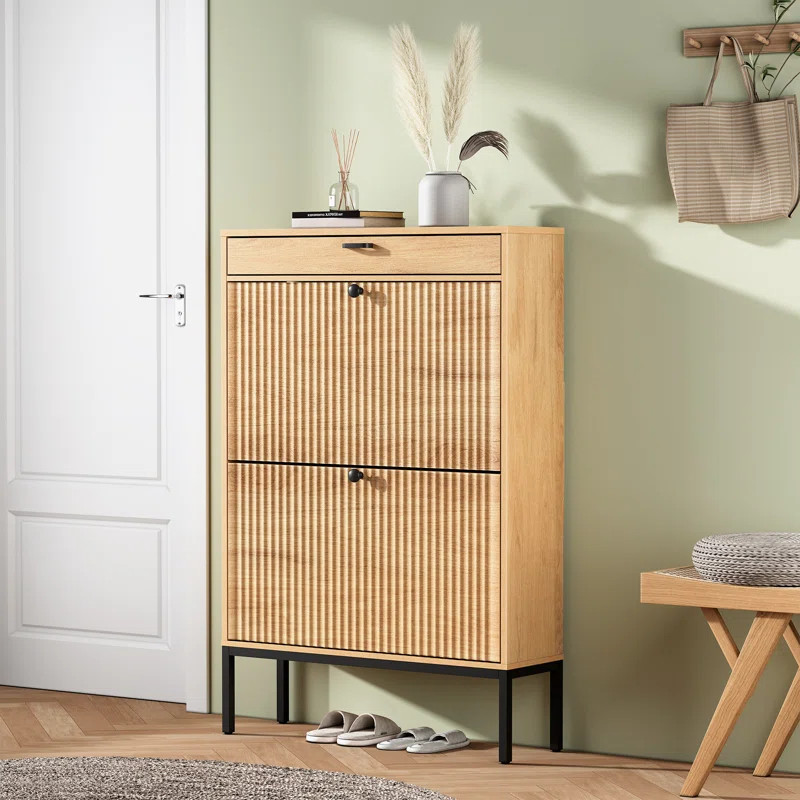 Modern Minimalist Style Large Capacity Shoe Cabinet | Wayfair North America