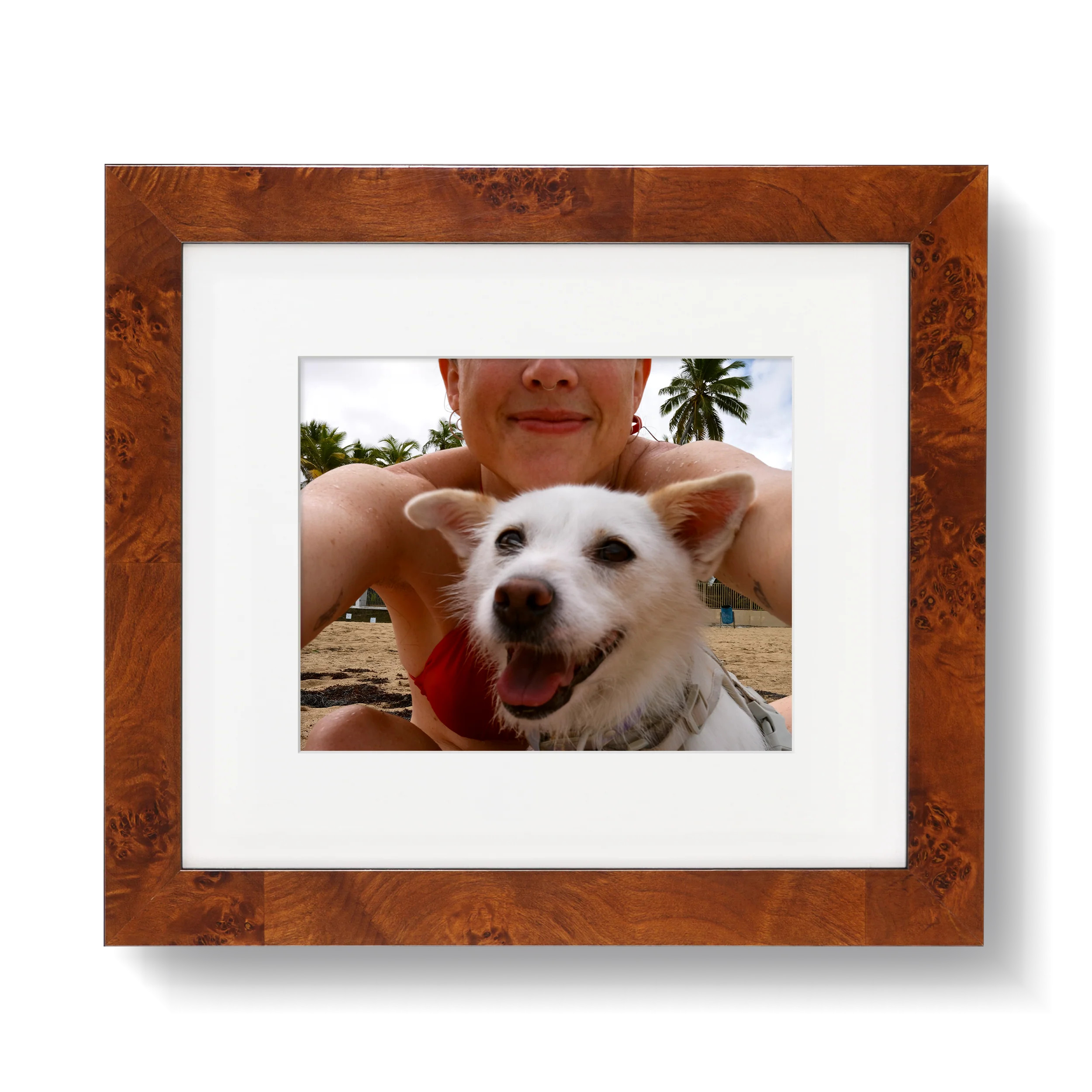 Jambi | Framebridge