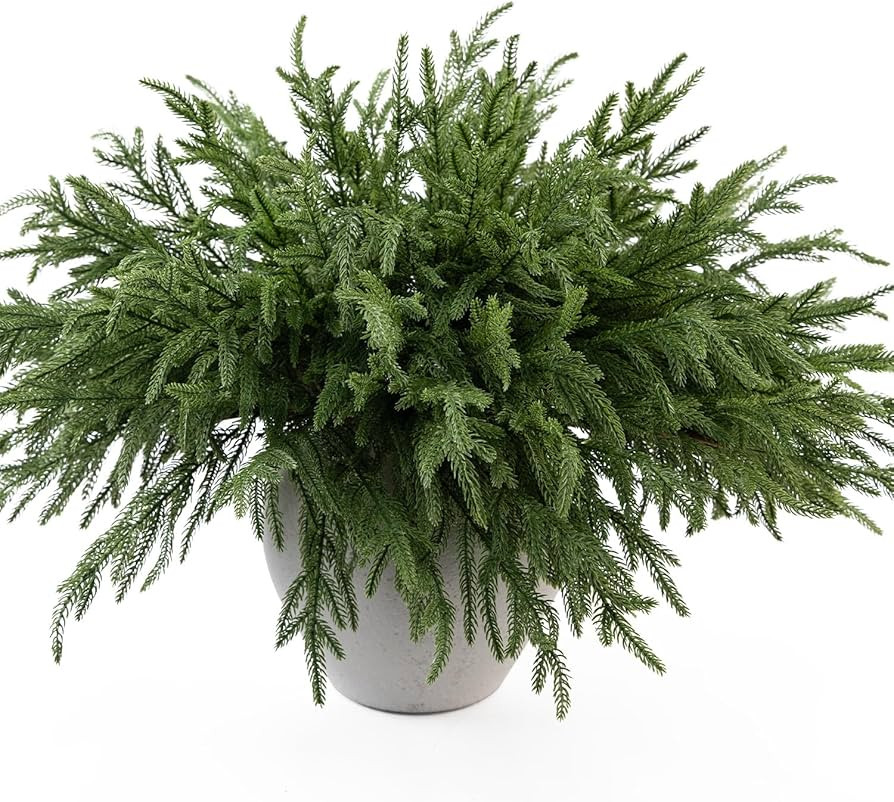 MISSPIN 12 Pcs 19.5 Inches Christmas Norfolk Pine Branches, Norfolk Pine Artificial Christmas Bra... | Amazon (US)