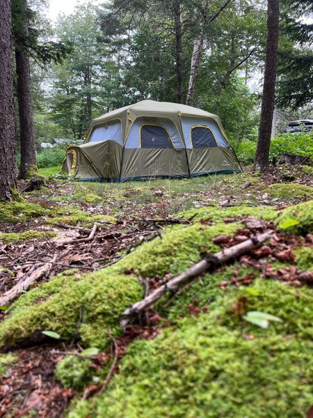 The moss matches my tent 🏕️ 

#LTKSeasonal