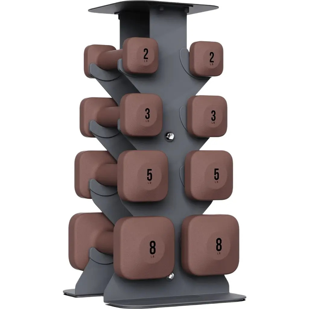 WeGym SafeGrip Dumbbells Lower Set with Dark Rack - 2, 3, 5, 8lbs in Rose at Nordstrom | Nordstrom