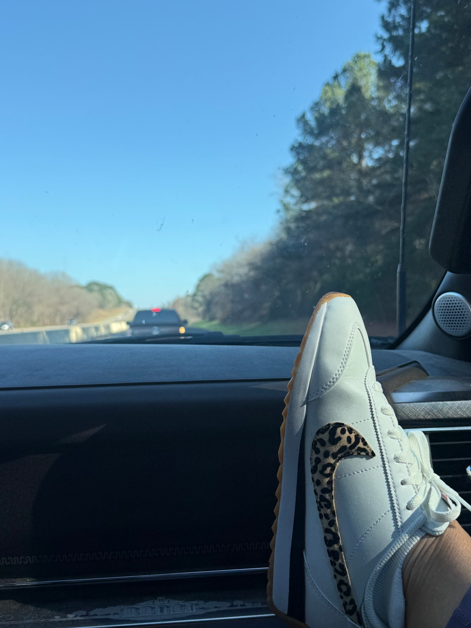 New Kicks for Christmas 🌟 And linked also are some of leopard sneakers I’m loving! I size down 1/2 size in all Nikes. 

#LTKActive #LTKOver40