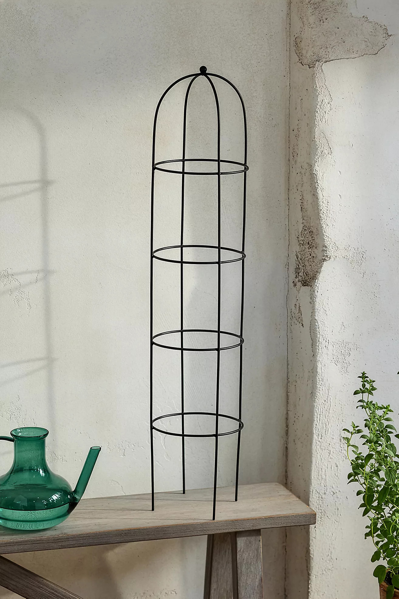 Obelisk Topiary Frame | Anthropologie (US)
