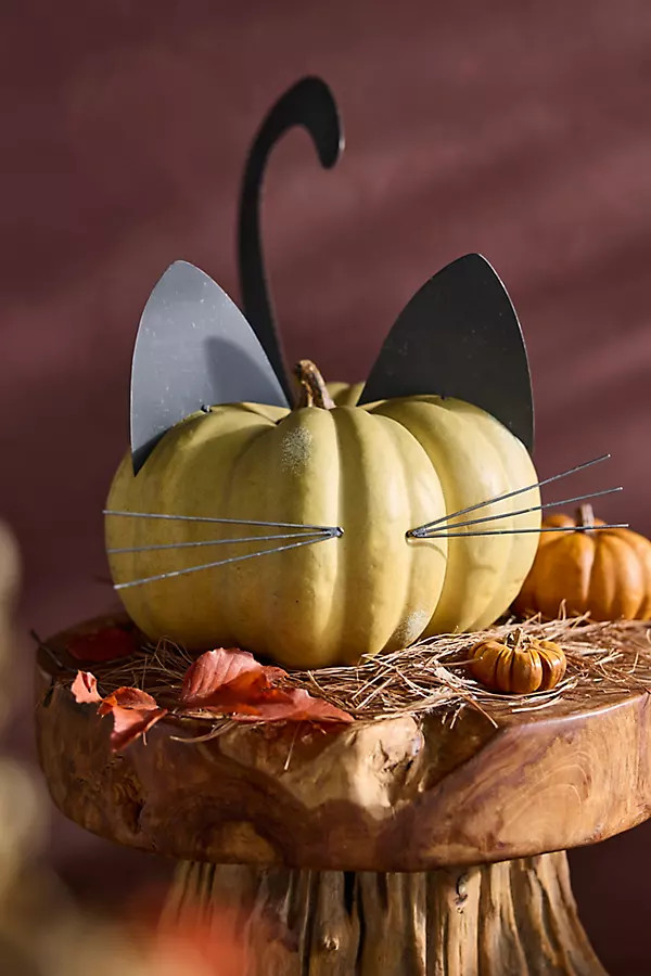 Black Cat Pumpkin Stake Set | Terrain