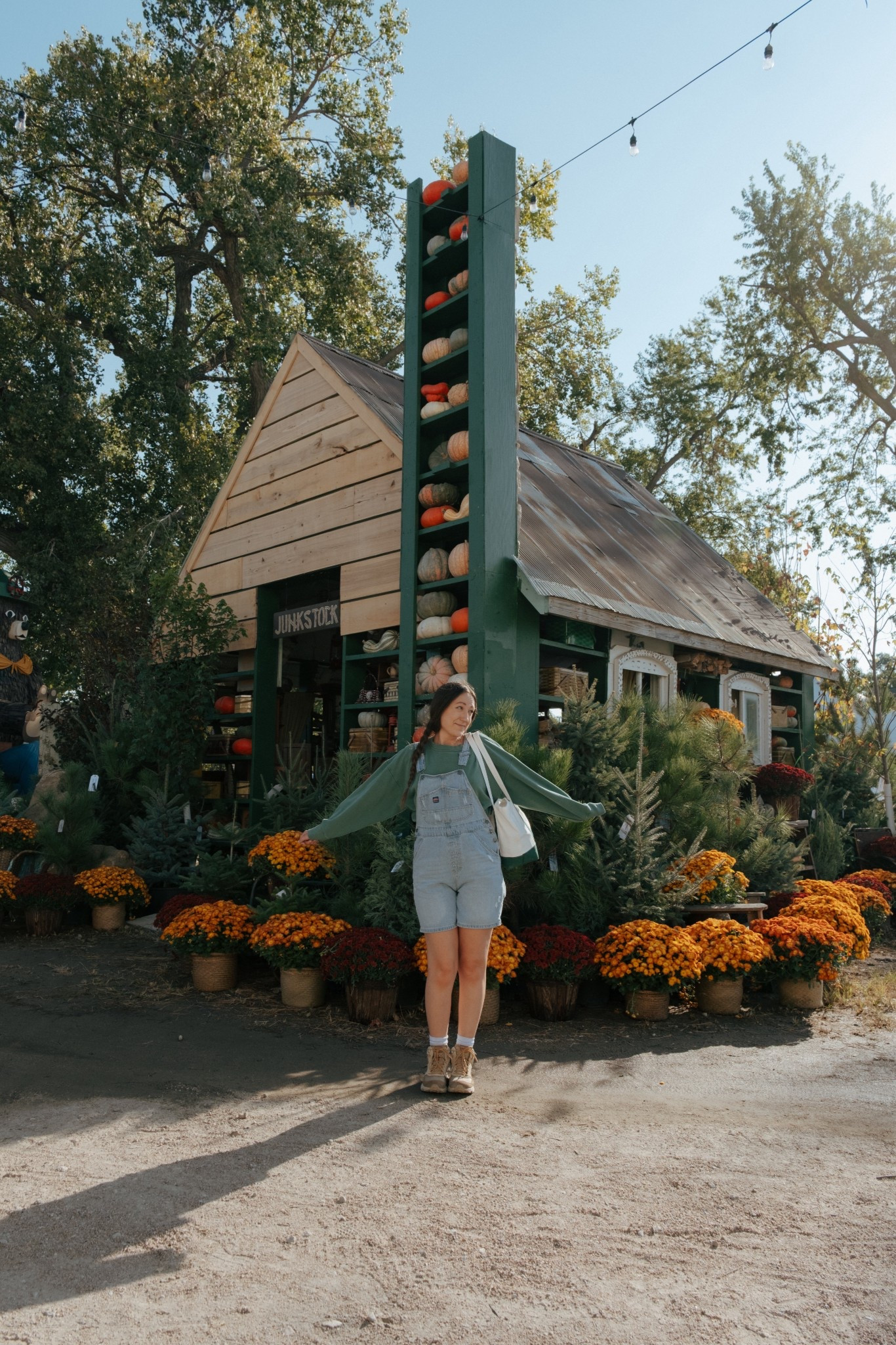 Fall overalls outfit ideas 

#LTKStyleTip #LTKFindsUnder50 #LTKFindsUnder100