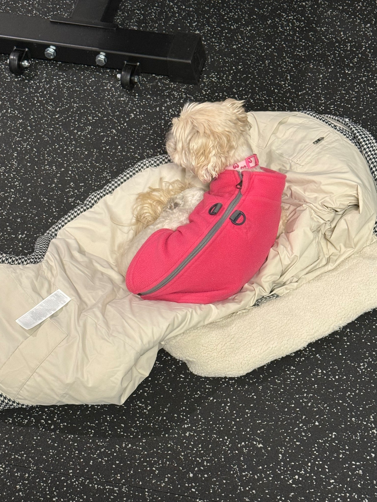 Lucy’s fleece harness vest 