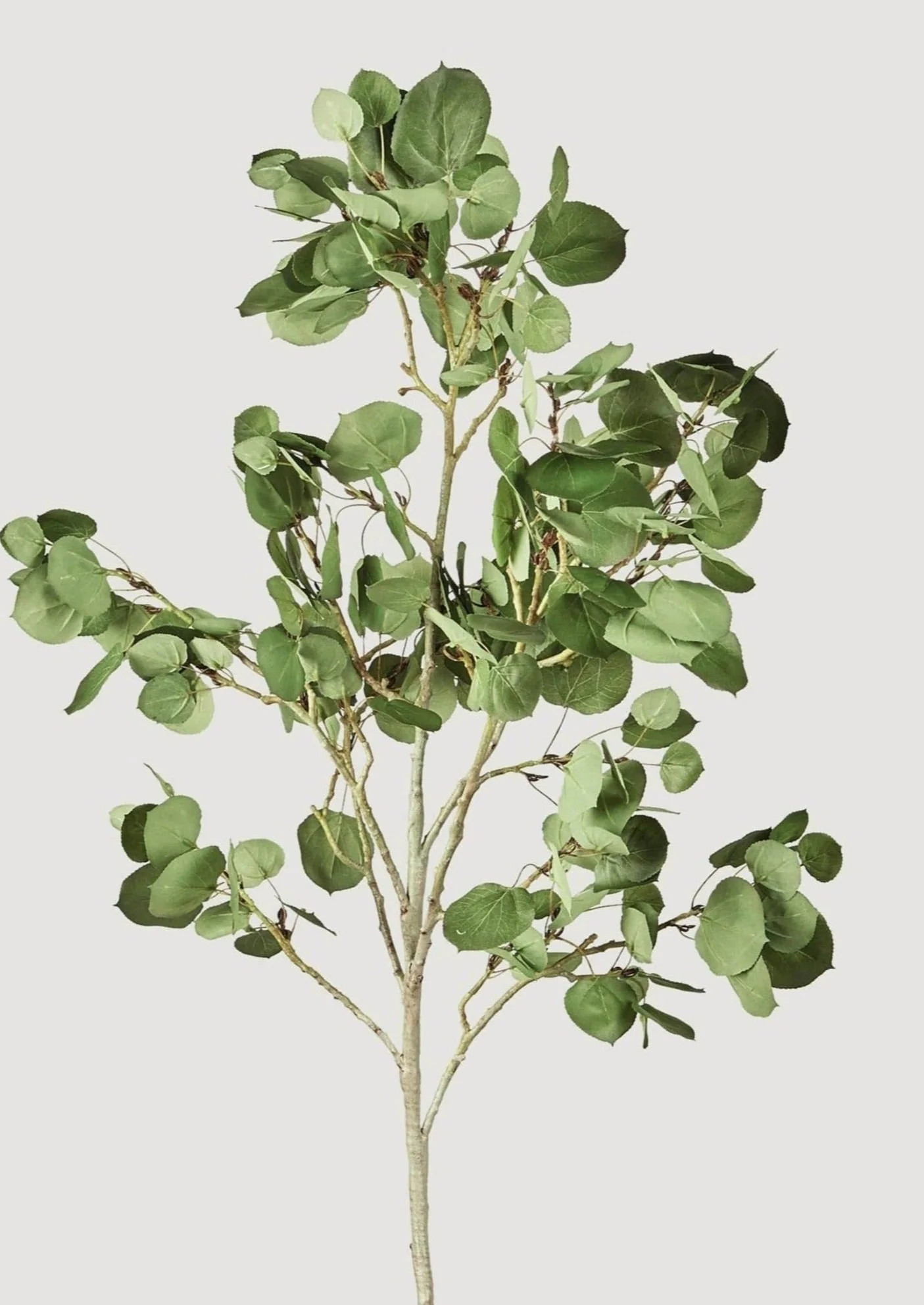 Tall Aspen Leaf Branch | Artificial Leaves & Greenery Stems | Afloral | Afloral