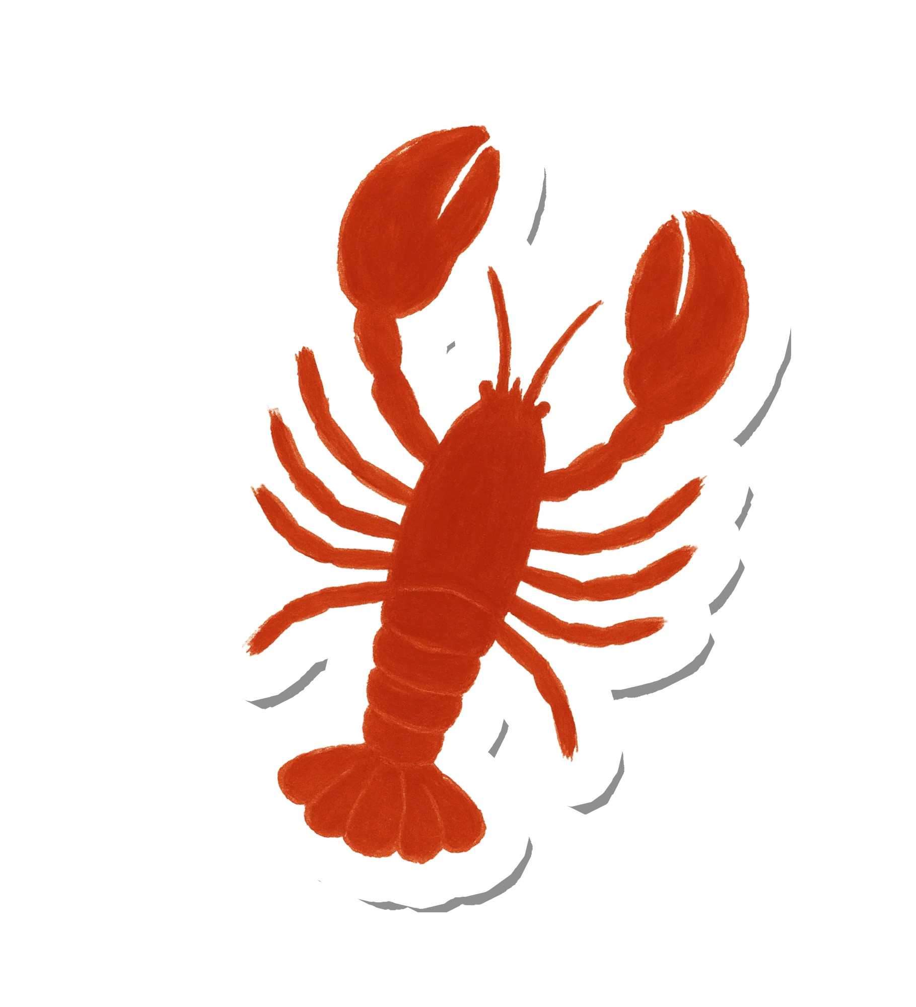 Coastal Lobster | Suteka