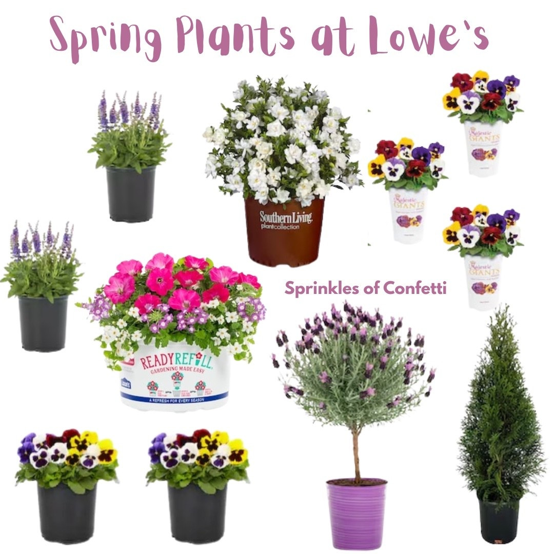 It’s almost time for spring flowers! 

#LTKHome #LTKmomlife #LTKSeasonal