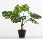 Faux Small Monstera Houseplant | Pottery Barn | Pottery Barn (US)