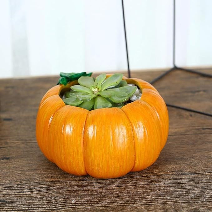 MoYek Creative Pumpkin Shaped Resin Flower Pots Succulent Planters Vase Home Office Art Pots Stan... | Amazon (US)