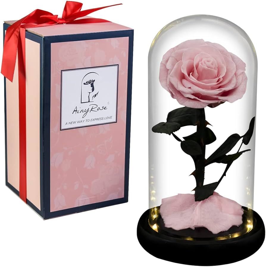 AINYROSE Gift for Women Forever Preserved Rose in Glass Dome with Light, Women Eternal Beauty Ros... | Amazon (US)