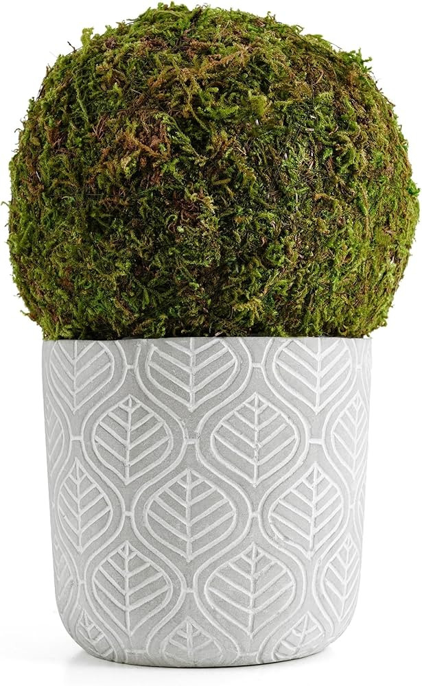 Small Potted Fake Moss Ball Artificial Plants Topiaries for Shelf Home Office Desk Farmhouse Room... | Amazon (US)