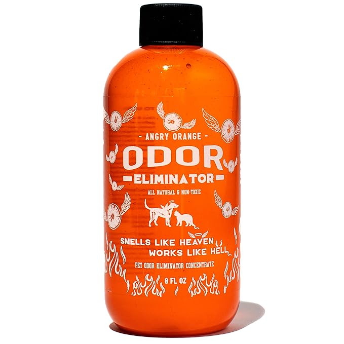 Angry Orange Pet Odor Eliminator for Dog and Cat Urine, Makes 1 Gallon of Solution for Carpet, Fu... | Amazon (US)