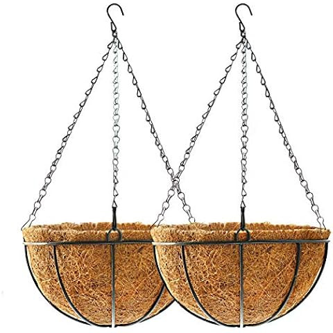 16" Georgian Rigid Iron Hanging Basket (920) with Coco Moss Liner_AB | Amazon (US)