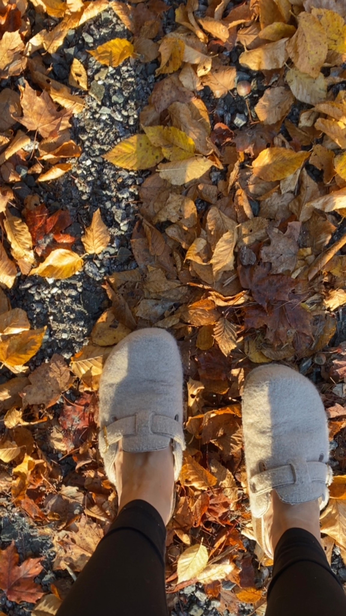 Obsessed with these comfy Birkenstock lookalikes. From Amazon!! And on sale for 1/4 the price! Fall shoes! 

Fall shoes, amazon style, fall fashion 