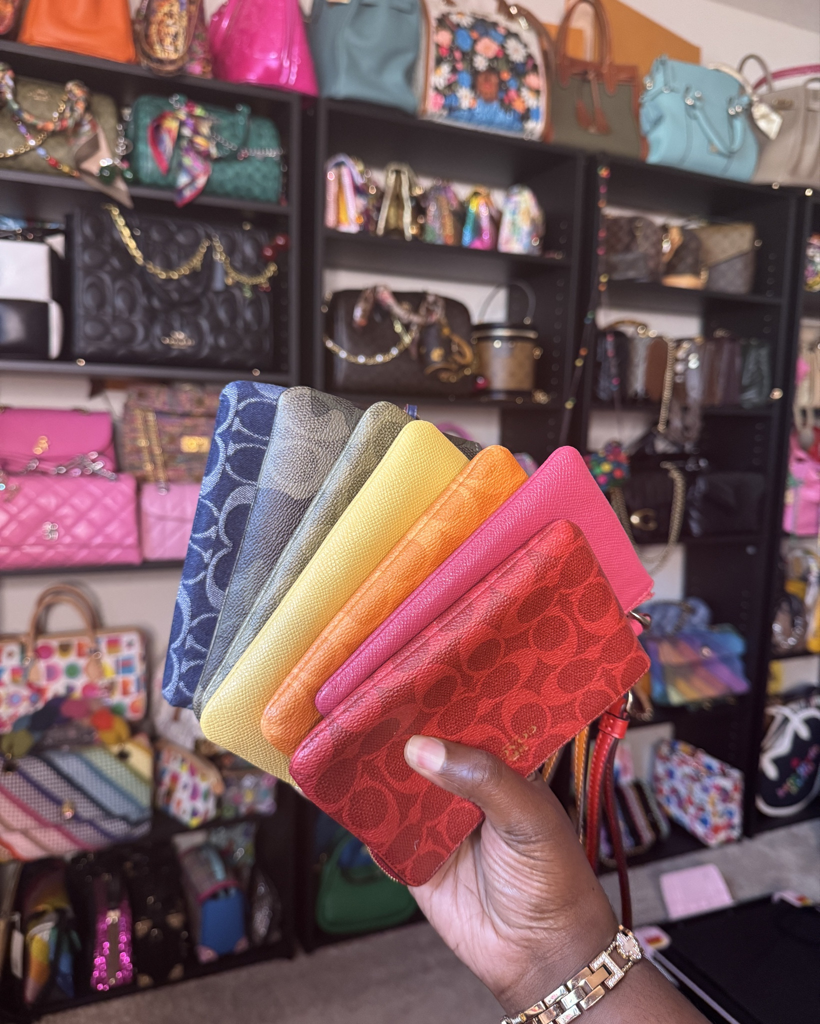 Plotting on my next coach outlet corner zip wristlet! What color am I missing ??#coachoutlet #coach #pursecollection #bags 