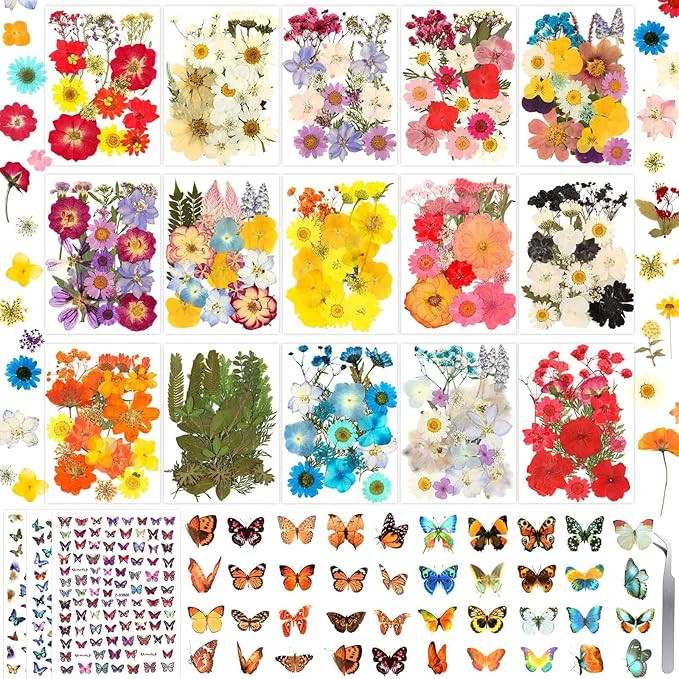 630 Pcs Dried Pressed Flowers with Butterfly Stickers for Crafts, Real Pressed Wildflowers Dry Le... | Amazon (US)