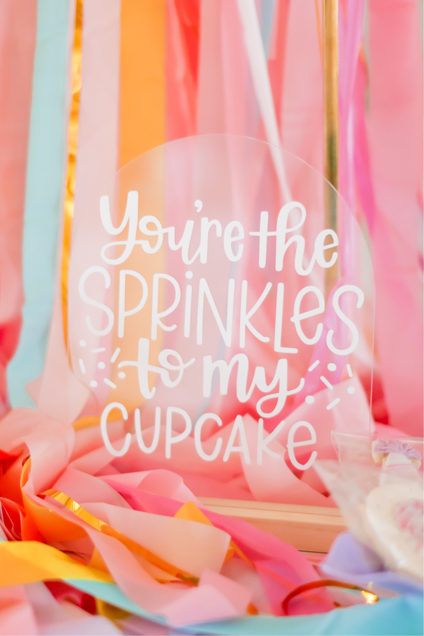 DIY Acrylic Party Signs ✨

#LTKKids #LTKParties #LTKHome