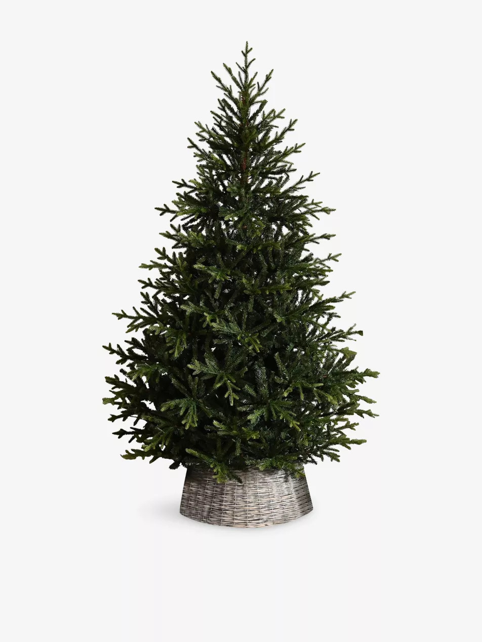 Pre-Lit Winterview Artificial Christmas Pine Tree 5ft 9in | Selfridges