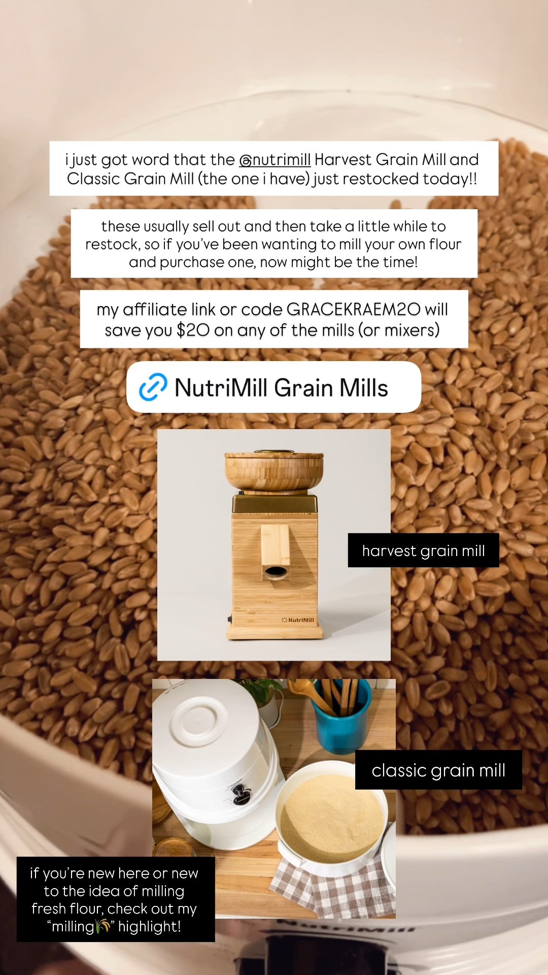 nutrimill grain mills are back in stock!! grab them while you can and use code GRACEKRAEM20 to save $20

grain mills, milling your own wheat, wheat grinder, nutrimill


#LTKGiftGuide #LTKHoliday #LTKHome