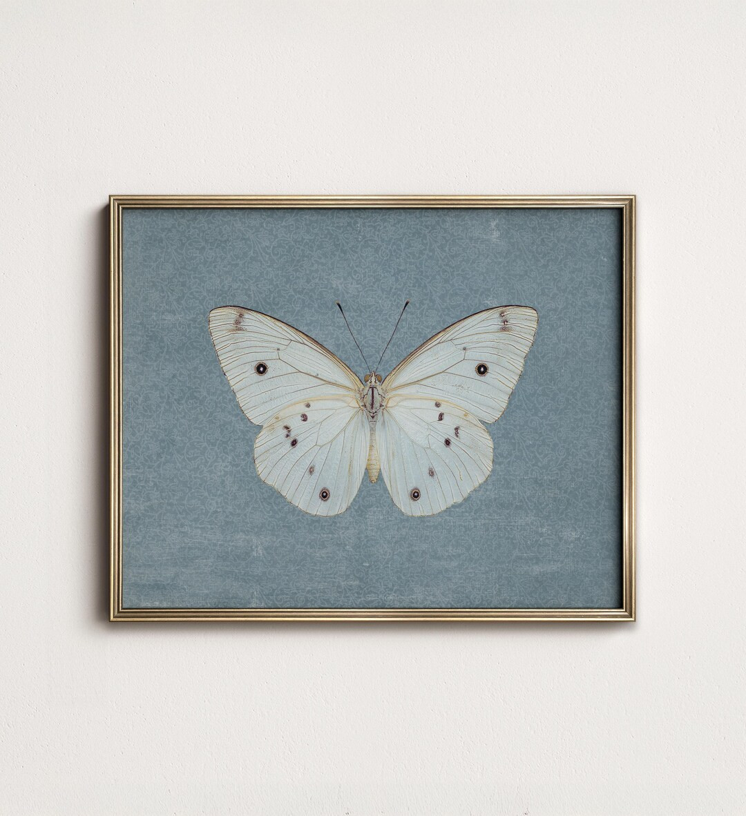 Vintage Butterfly Art Print: Farmhouse Girls Room Wall Decor (Digital PRINTABLE Download) 8-216 | Etsy (US)