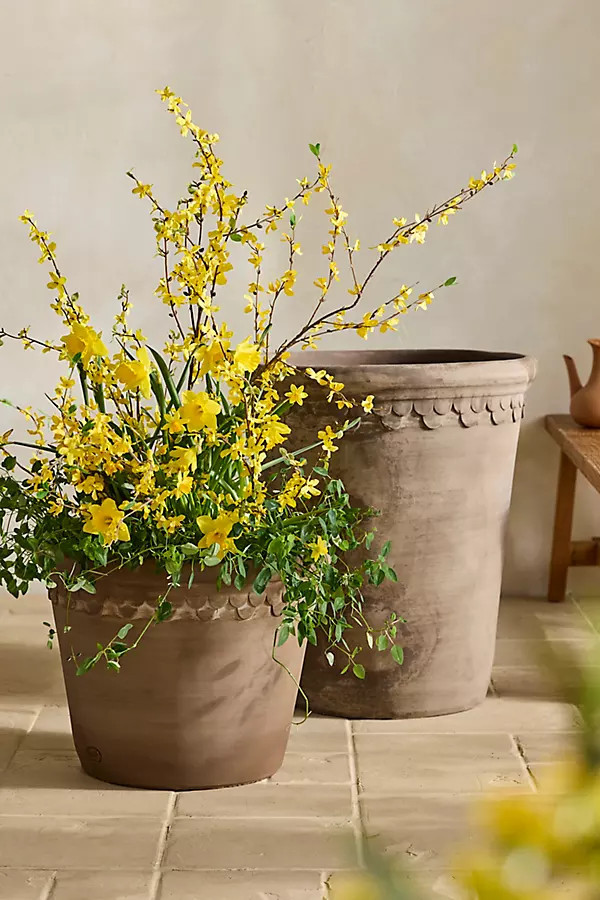Outdoor Bergs Copenhagen Terracotta Pot, Grey | Anthropologie (US)