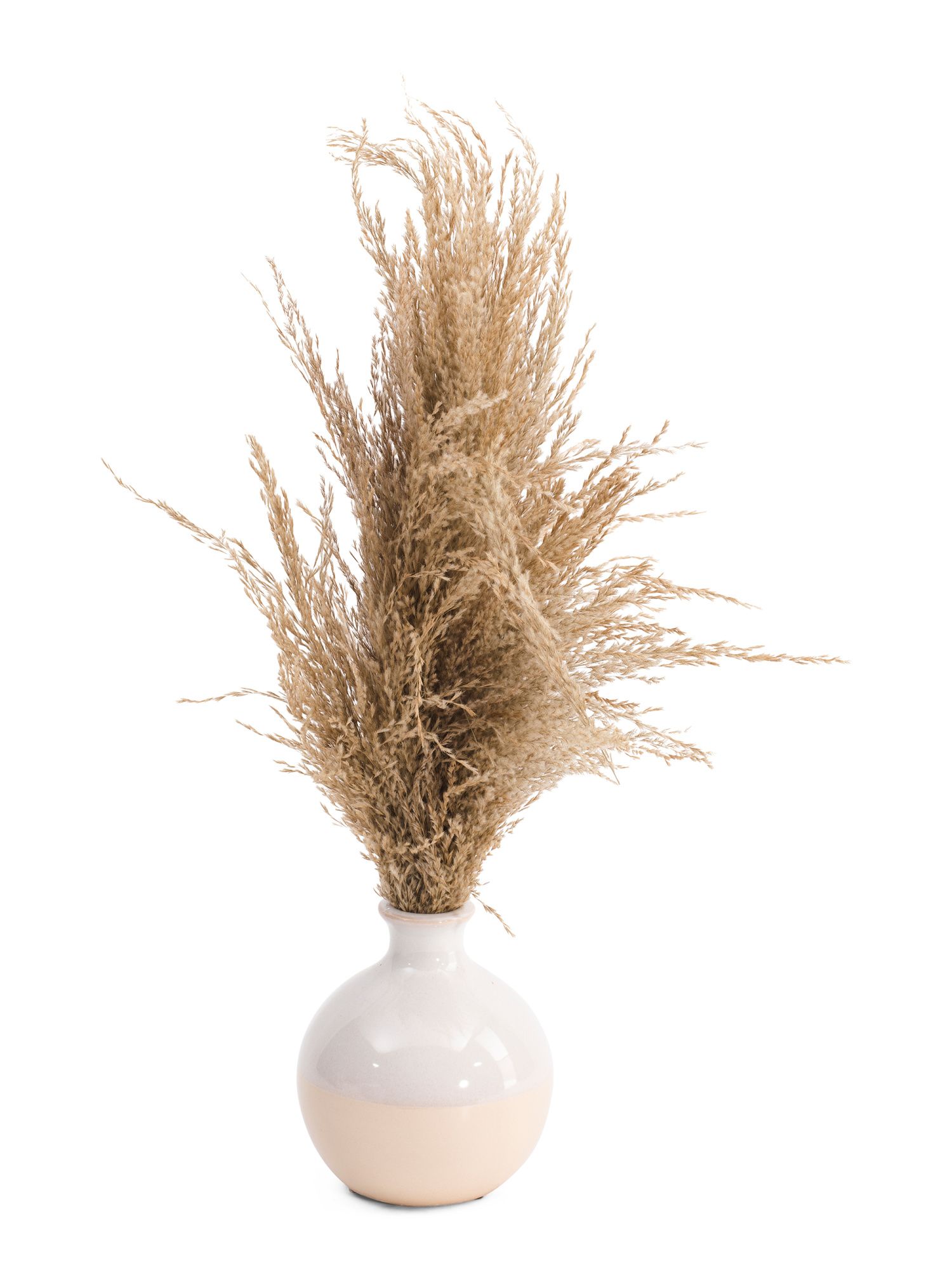 Pampas Grass In Dipped Vase | TJ Maxx