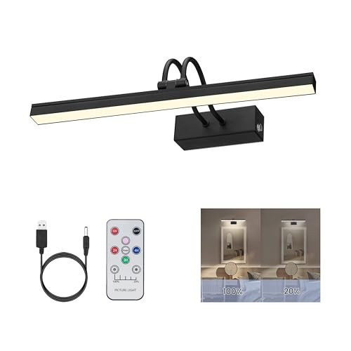 FUNCHDAY Picture Light Rechargeable, Wireless Picture Lights for Wall with Remote, 280LM Dimmable Timer Set Gallery Light, 13inch Metal Battery Operated Art Lighting for Paintings,Frame (Black) | Amazon (US)