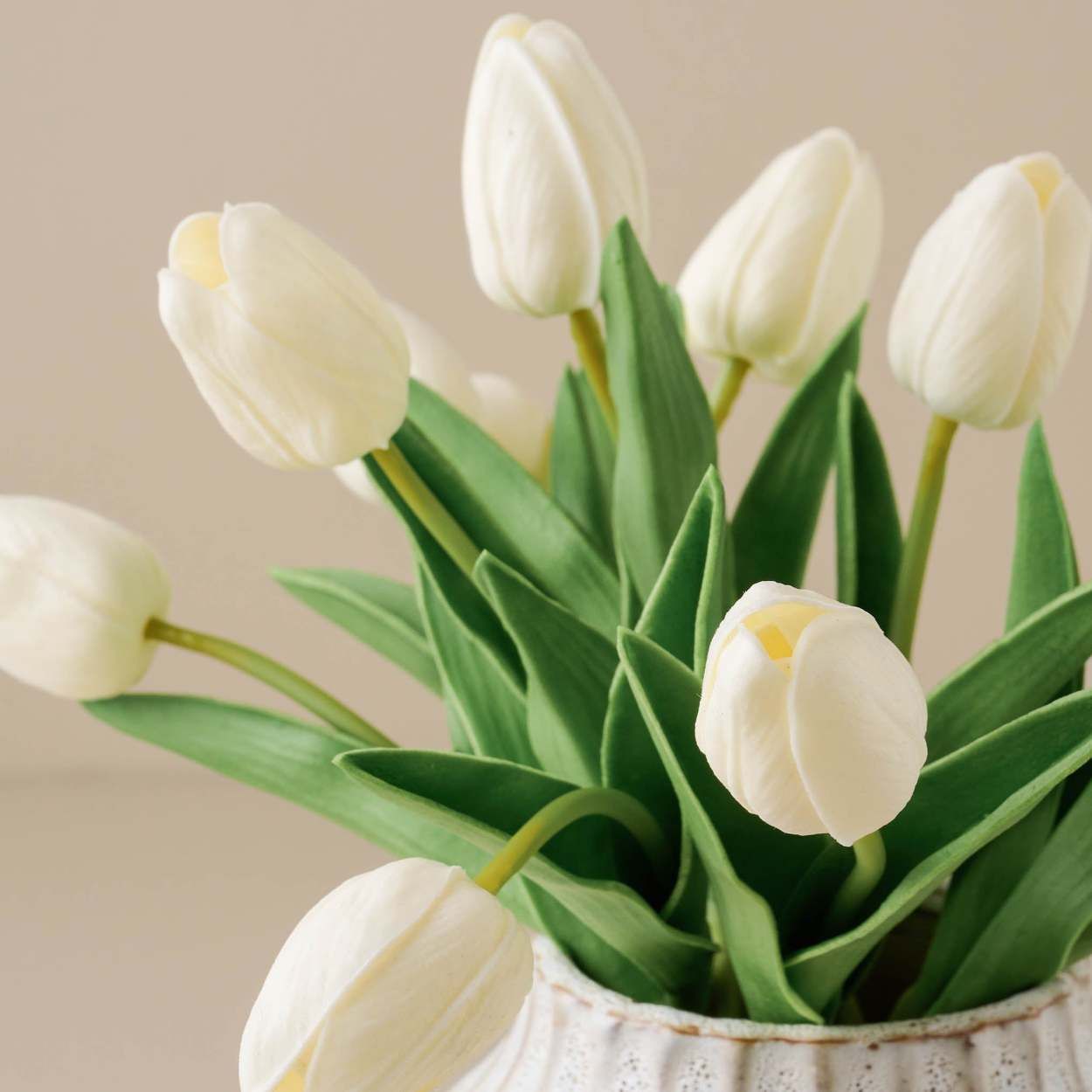 Small Tulip Bundle | Magnolia