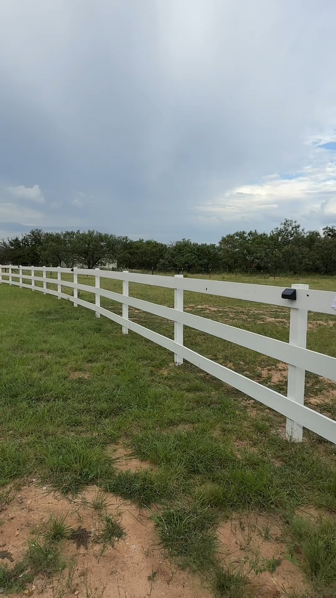 Green dress: 2x
Denim top: xxl
Tank: xxl
Gingham pants: xxl
Denim skirt: 33
White skirt: xxl
White dress: xl 

#LTKMidsize #LTKSeasonal #LTKPlusSize