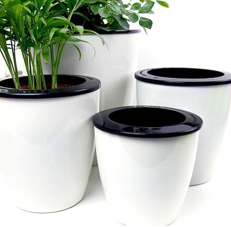 Mkono 3 Pack Self Watering Planter African Violet Pots Plastic White Flower Plant Pot with Wick R... | Amazon (US)